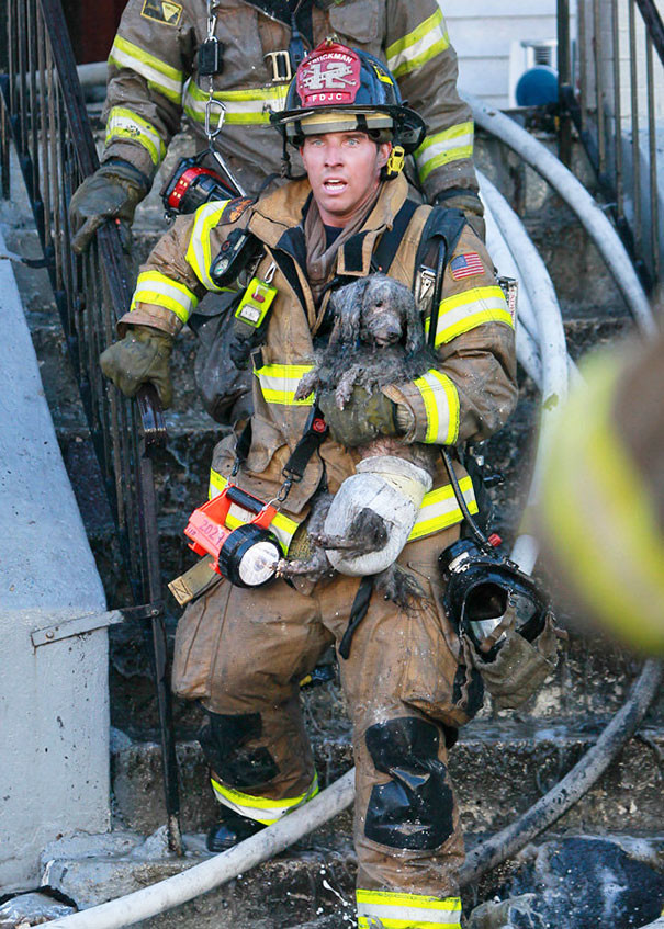 9. Пожарный Рэй Спеллмайер выносит пуделя Джозефа из горящего здания