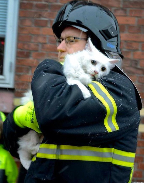 2. Пожарный в Дании спасает кошку из горящего дома