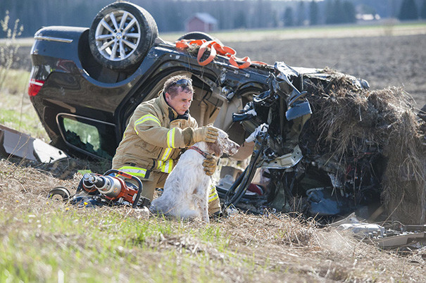 7. Пожарный обнимает собаку после автокатастрофы