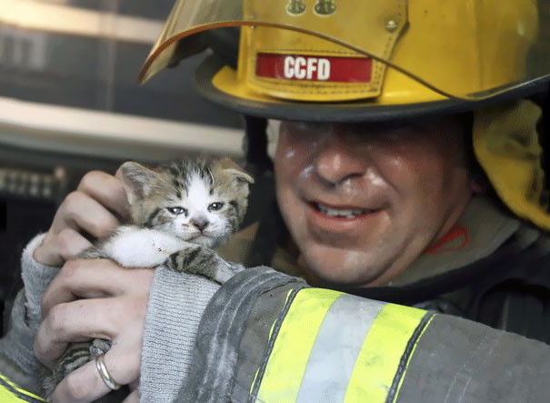 17. Капитан пожарной охраны Джон Лии осматривает одного из двух котов, спасенных из пожара в дуплексе