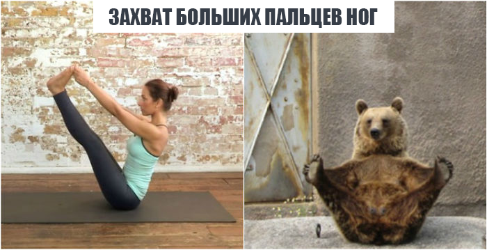 18 асан йоги в исполнении милейших животных