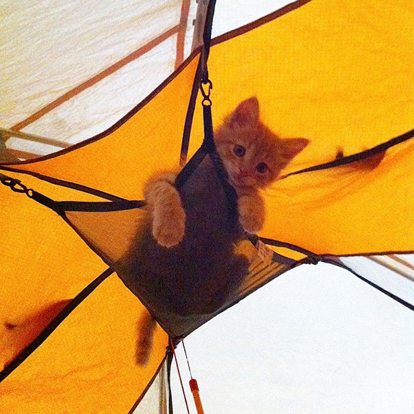 Много места в палатке я не займу!