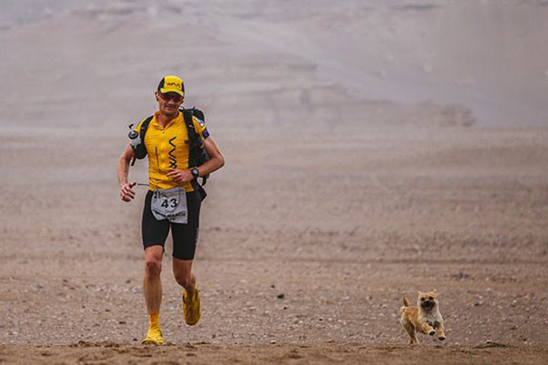 К бегуну Леонарду Диону во время забега в Китае присоединился щенок, пробегавший с ним по 23 мили в день