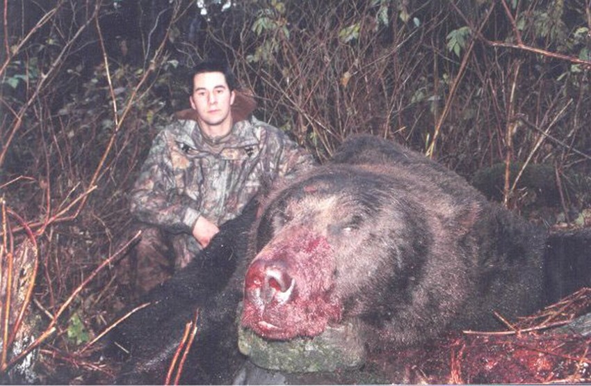 Самый большой медведь.