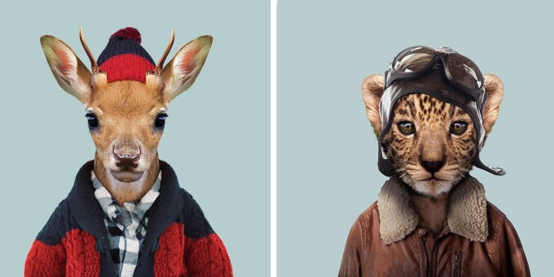 Этот художник одевает животных в человеческую одежду