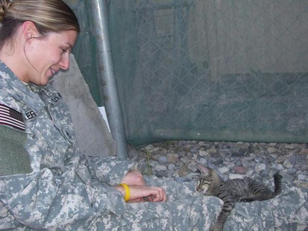 Женщина сразу привязалась к кошке и решила забрать ее в США
