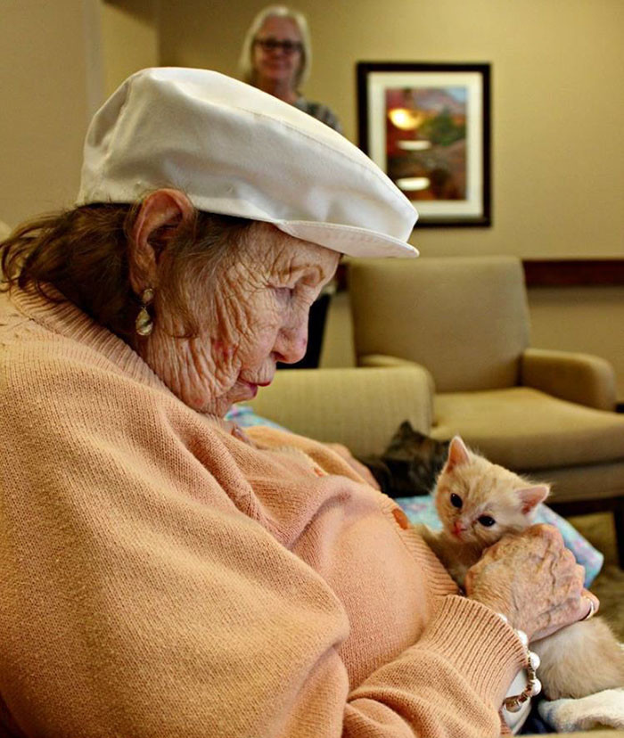 Обитатели дома престарелых ухаживают за приютскими котятами