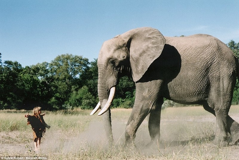 Слона по имени Абу испугались бы многие дети, но не Типпи (Ботсвана)