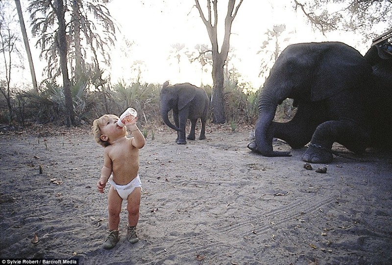 Типпи всего полтора года: мама сфотографировала ее на фоне стада слонов в Ботсване