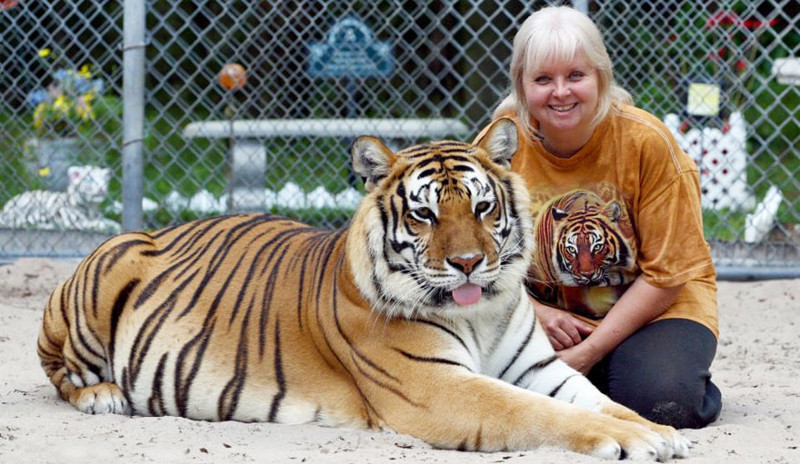 1.Дженис Хейли - матерь тигров.