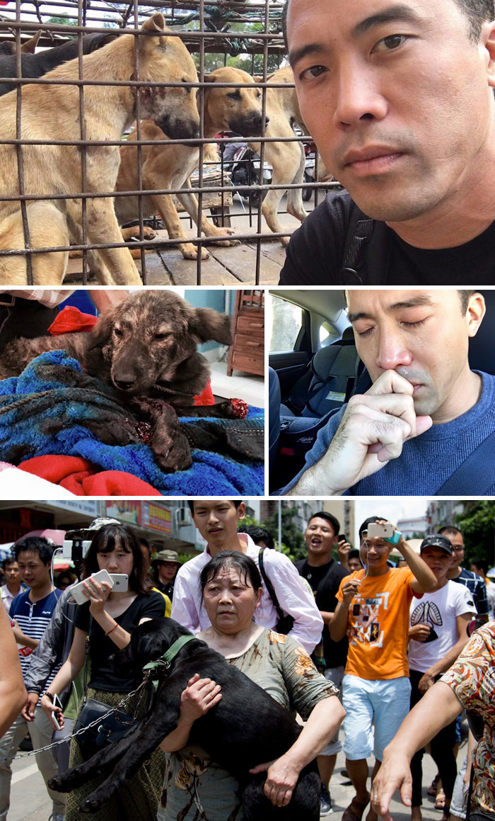 Этот мужчина спас 1000 собак,предназначенных для фестиваля собачьего мяса в Юлине, хотя и был за это избит 