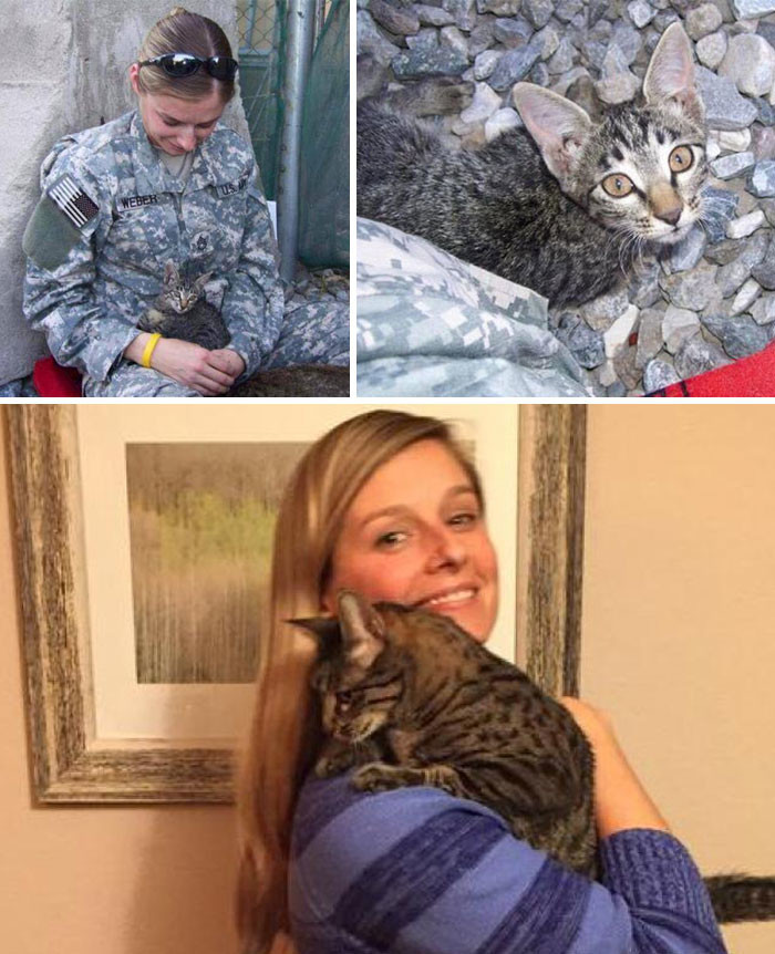 Военнослужащая отказалась оставить больного котенка в Афганистане. Она не испугалась того, что ей пришлось ждать несколько месяцев и заплатить $2000, чтобы перевезти кошку в Штаты 