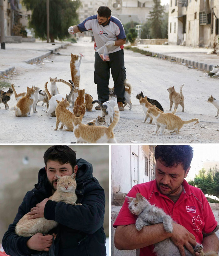 Люди бегут из разрушенного войной Алеппо. Но этот мужчина остался, чтобы заботиться о брошенных кошках