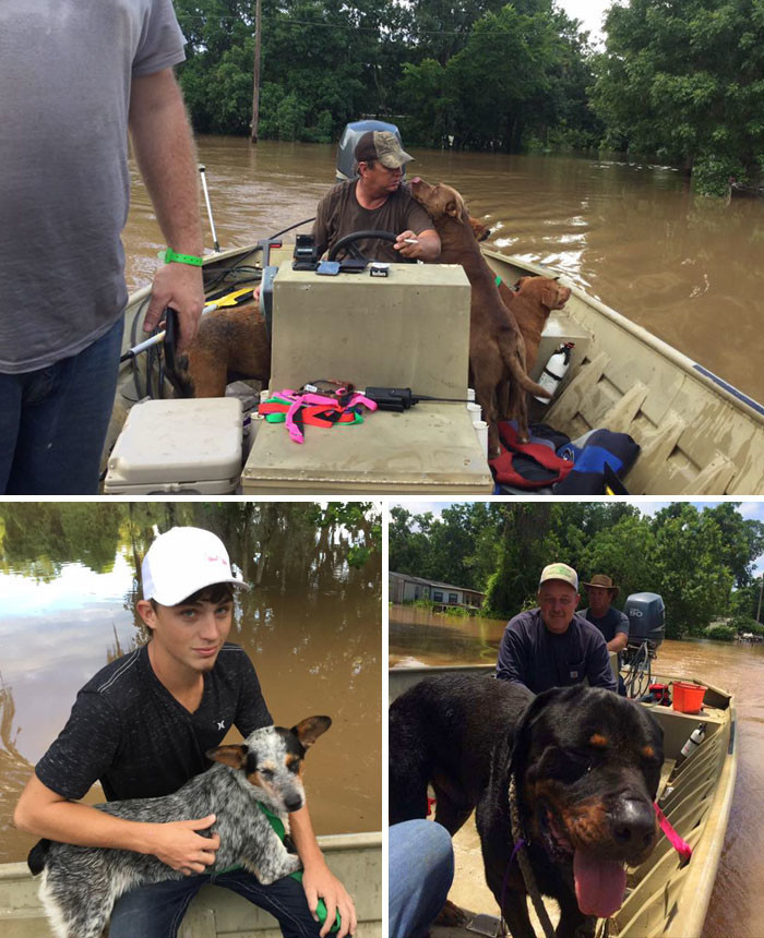 Отец и сын спасли 30 собак, брошенных хозяевами во время наводнения в округе Бразория, штат Техас
