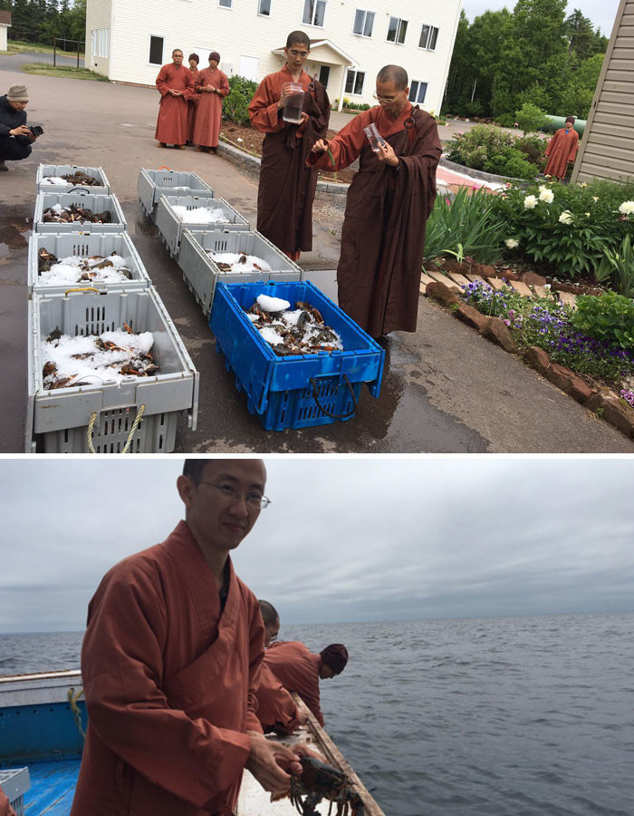 Буддистские монахи купили 250 килограммов лобстеров, чтобы отпустить их обратно в океан