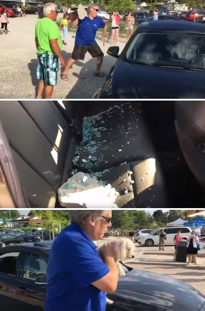 Мужчина бросает камень в окно BMW, чтобы спасти собаку, запертую в машине на жаре