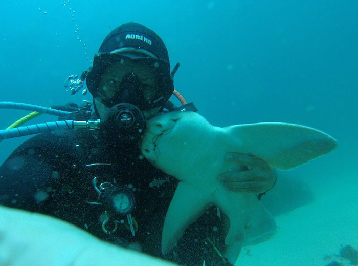 Рик Андерсон и его подружка, австралийская бычья акула