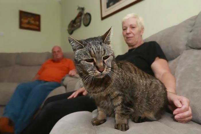 Мускат — возможно самый старый кот в мире. Ему 31 год!