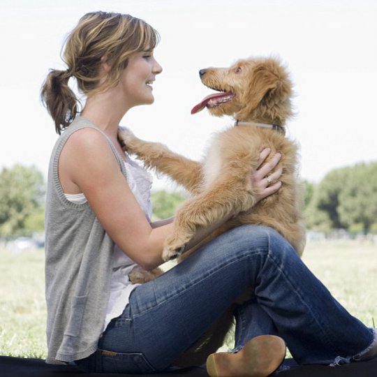По мнению ученого, собака делает человека счастливее