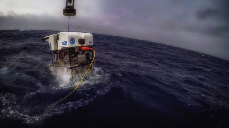 Дистанционно управляемый подводный аппарат Deep Discoverer.