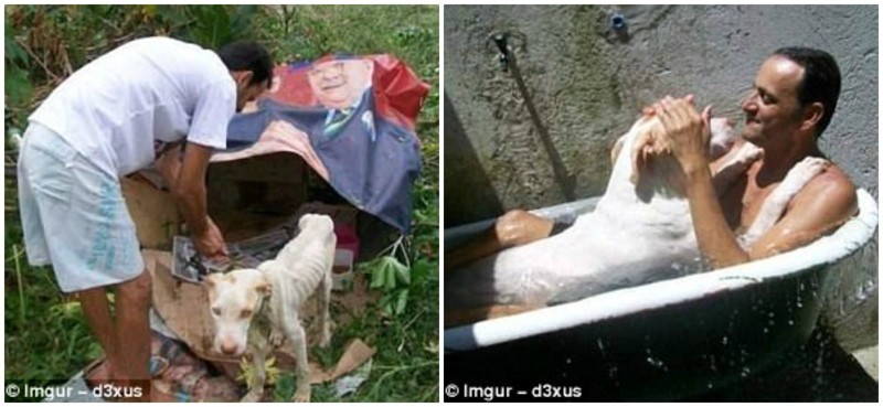 Этот мужчина спас брошенного пса от, казалось, неминуемой смерти