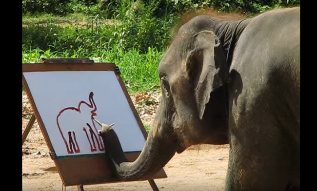Просто слон рисует автопортрет