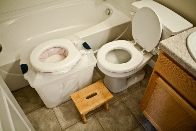 Также можно постепенно учить, поднимая лоток или вымышленный туалет на один уровень с настоящим 
