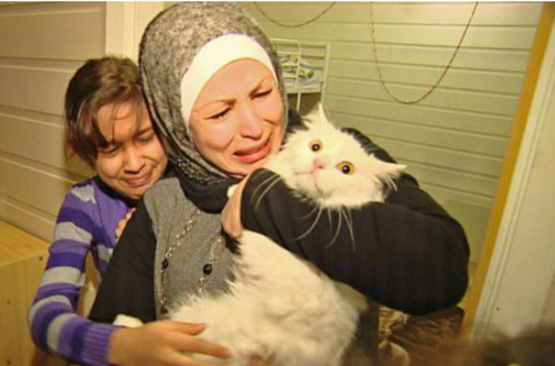 Потерявшийся кот вернулся в семью иракских беженцев, преодолев полмира