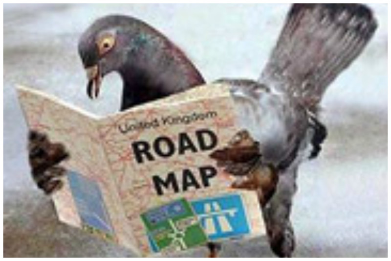 Самая четкая и научно оформленная на сегодняшний день версия о том, как голуби находят дорогу - инфразвук
