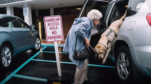 92-летняя бабуська не выходила из дома, пока не познакомилась с этим псом