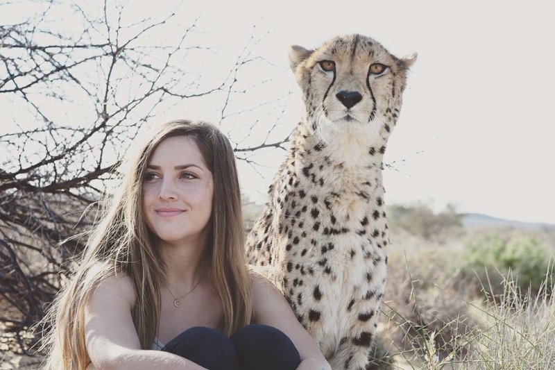 Обворожительная девушка подружилась с гепардами и совсем их не боится 