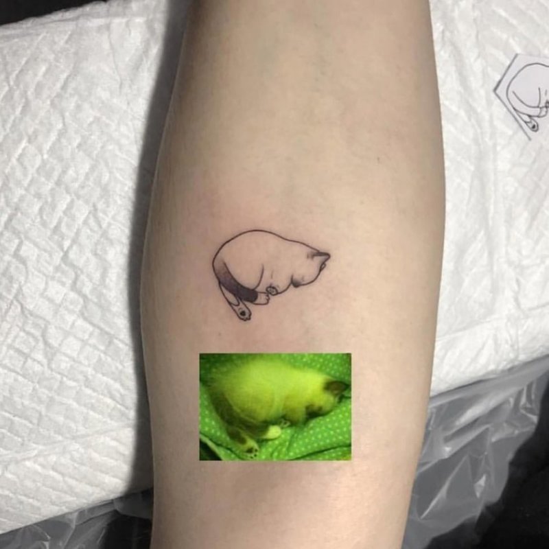 Владельцы животных делают минималистичные татуировки питомцев по фотографиям 