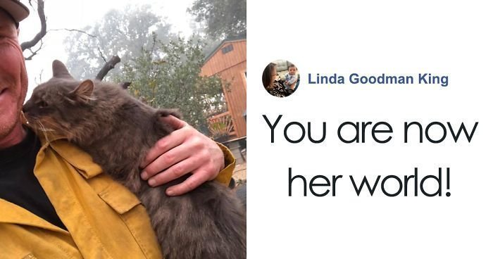 Мужчина вытащил кота из лесного пожара, и тот не перестает благодарить спасителя