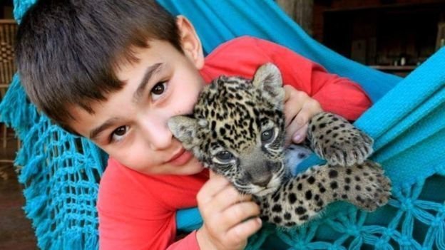 Удивительная история ребёнка, который спасает ягуаров