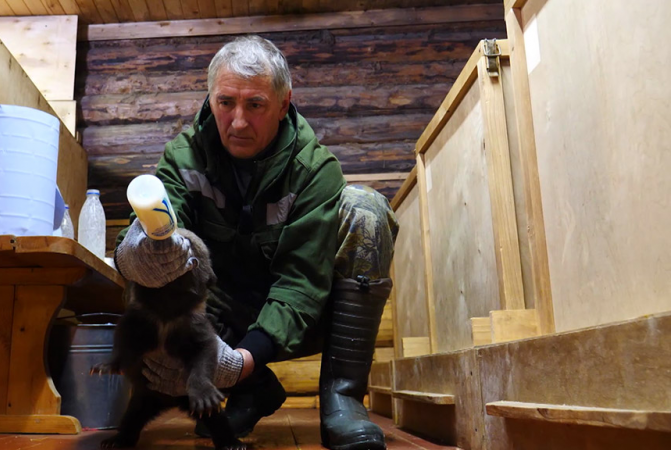 Российский биолог живёт в деревне и спасает осиротевших медвежат