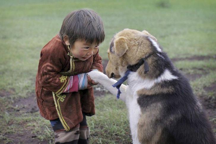 15 трогательных фотопримеров дружбы людей и животных