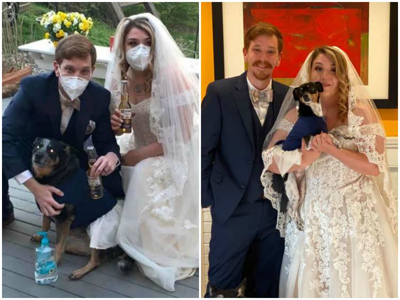 Пара сыграла свадьбу на карантине, пригласив только своих собак