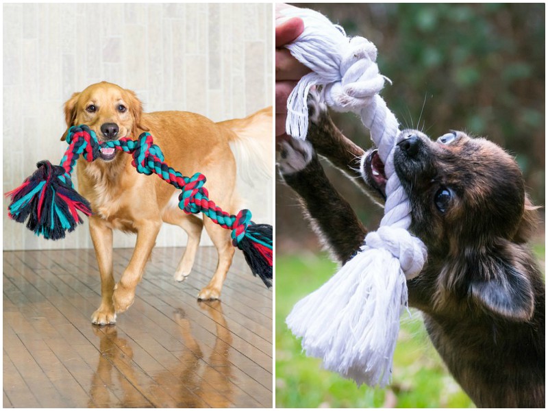 Игрушки из веревок опасны для вашей собаки