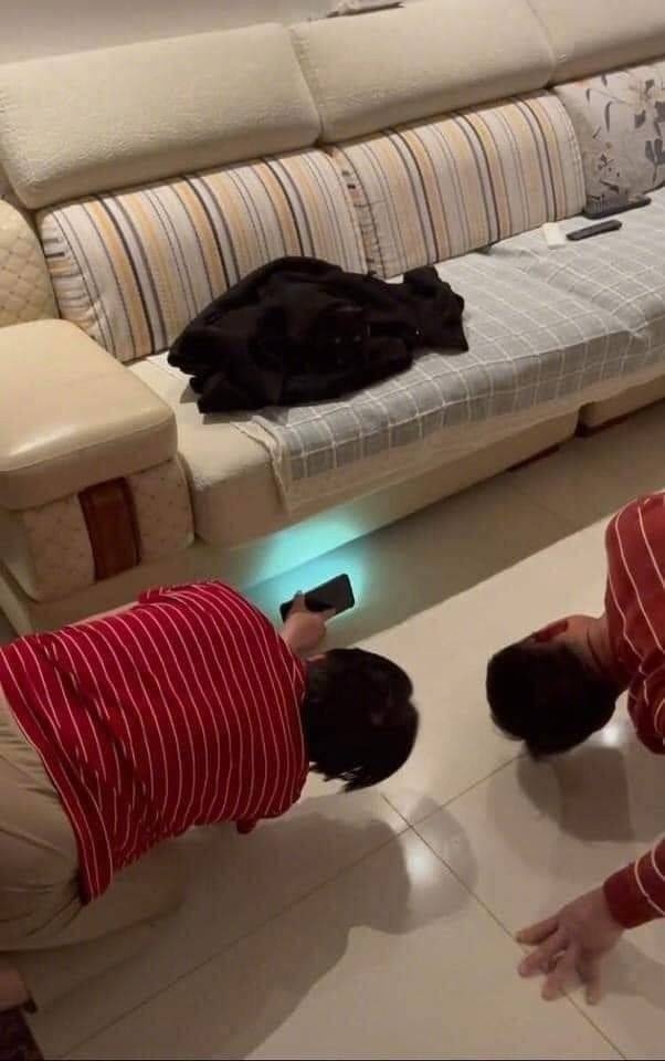 Хозяева каждый день теряют черного кота в доме