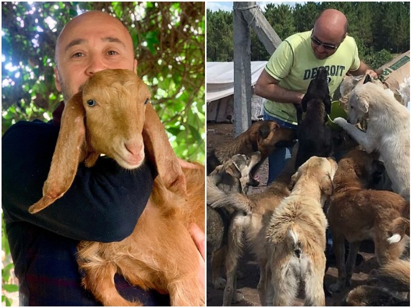 Житель Турции превратил свою ферму в приют для животных