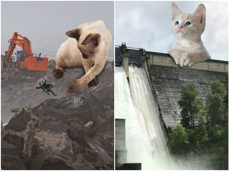 Инженеры сделали смешной календарь с котами на 2023