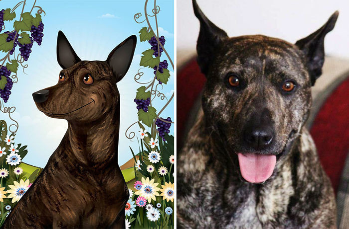 Иллюстратор создает милые и забавные «мультяшные» портреты домашних животных