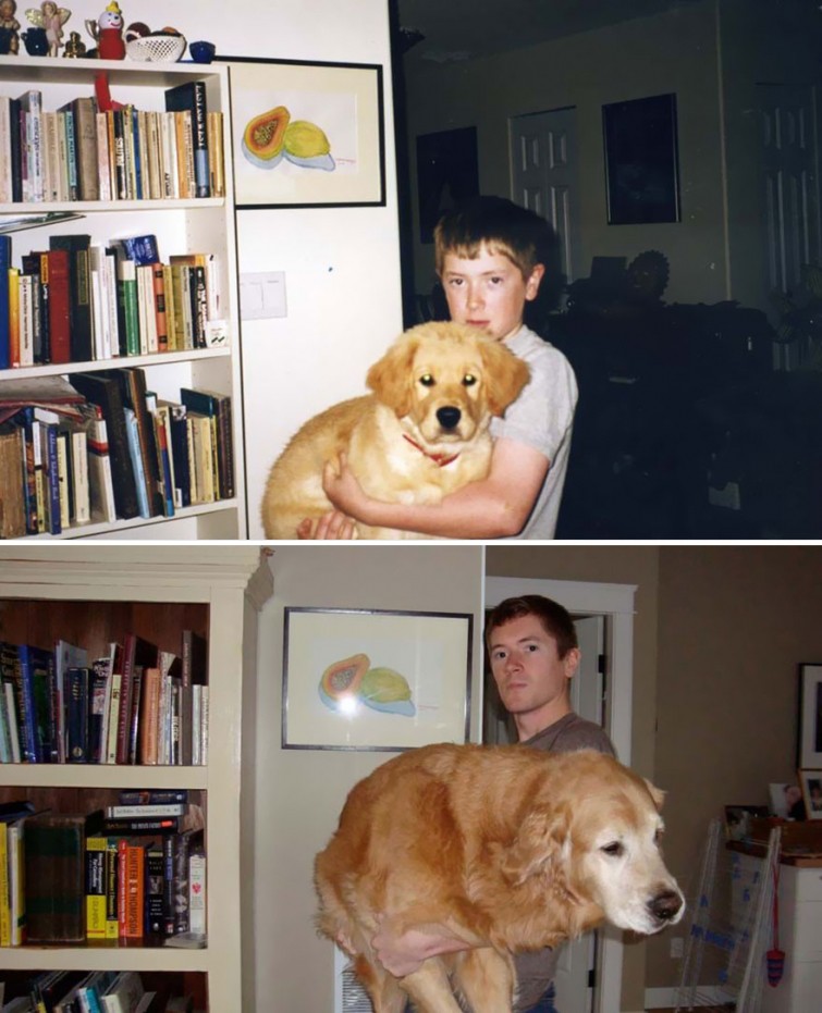 Щенки, выросшие во взрослых собак в стиле «до и после»