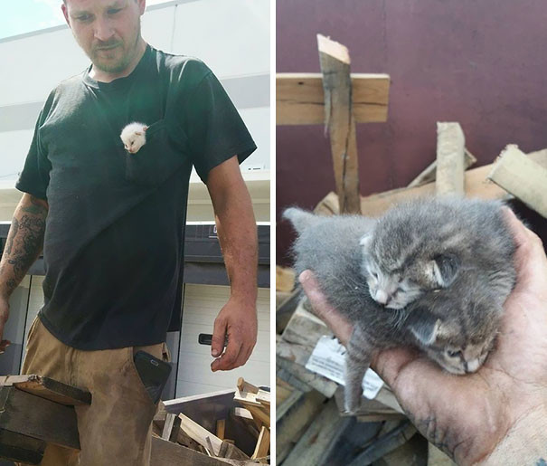 Мужчина семь часов копался в помойке, чтобы спасти выброшенных котят