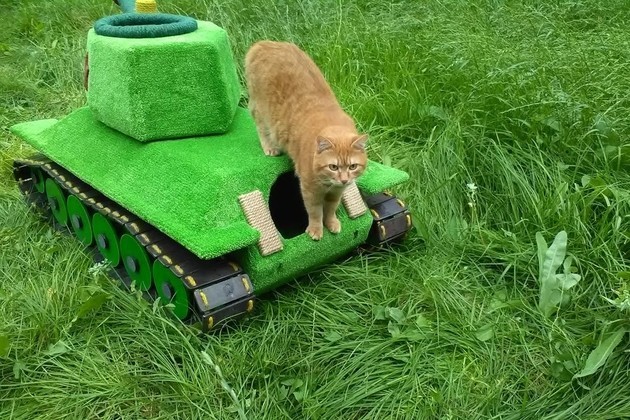 Новосибирский инженер сделал 50-килограммовый дом-танк для своего кота