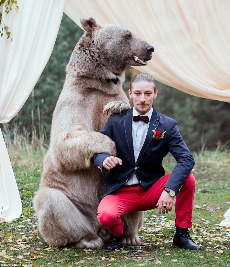 Какая же русская свадьба без медведя?