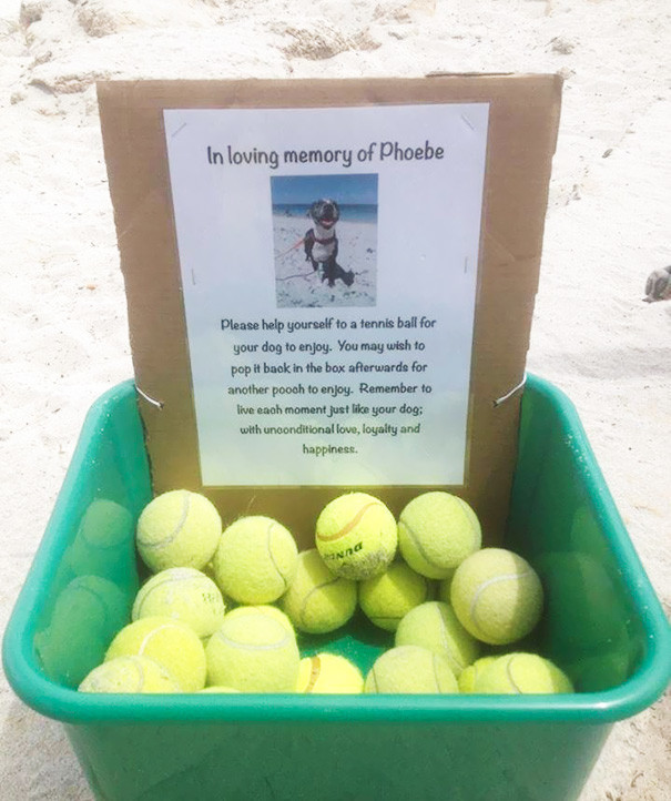 В память о своей собаке, какой-то человек оставил на пляже коробку с мячами для других собак 