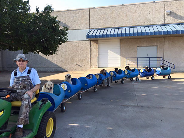 80-летний мужчина построил поезд для спасённых бродячих собак, чтобы у них были приключения