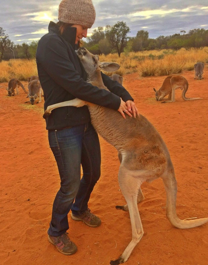 Благодарная кенгурушка каждый день приходит пообниматься со своими спасителями