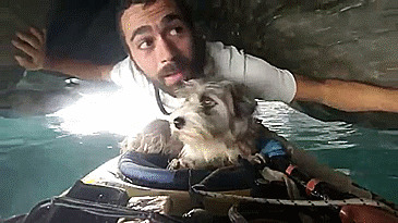 По Средиземному морю на каяке: мужчина уволился с работы и отправился в плавание вместе с собакой 